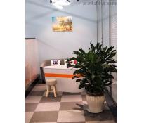 天津国际贸易中心（凯德国贸）0精装修180㎡